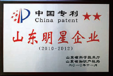 中國專利山東明星企業
