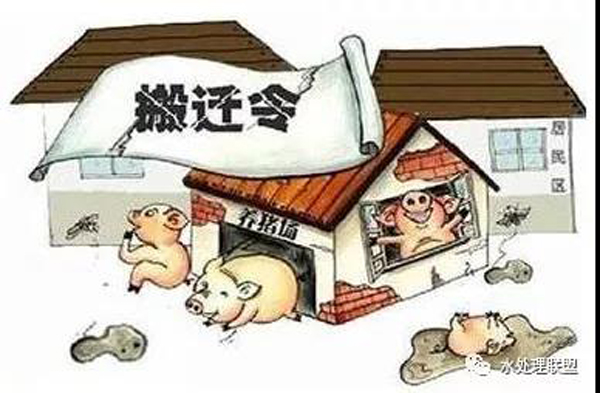 養殖場收到環保整改通知書該怎么辦？關于畜牧養殖的環保法律
